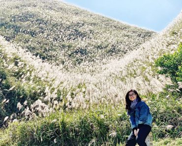 Bình Liêu mùa hoa lau