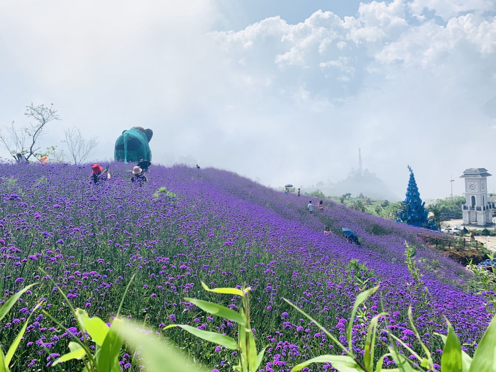 du lịch Sapa mùa xuân