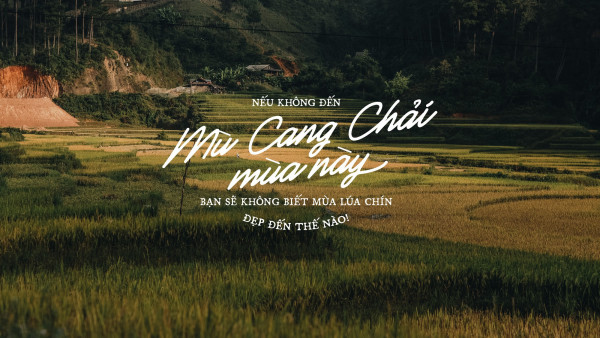 Mù Cang Chải