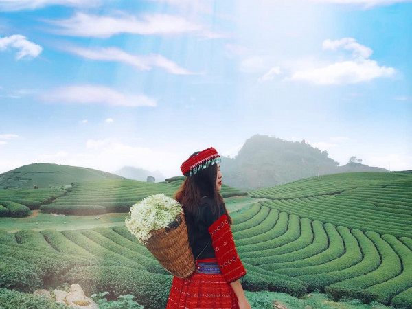 Tour KHÁM PHÁ MỘC CHÂU - CẦU KÍNH BẠCH LONG 2N1Đ