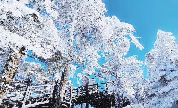 Tour du lịch Hà Nội - Hà Khẩu - Côn Minh - săn tuyết núi Kiệu Tử 4 ngày 3 đêm