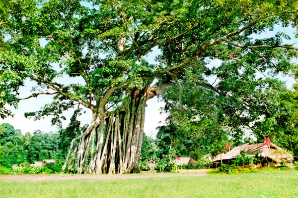 Tuyên Quang