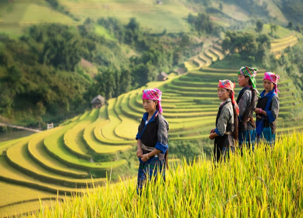 New Year Tour Mu Cang Chai - Ngoc Chien - SaPa