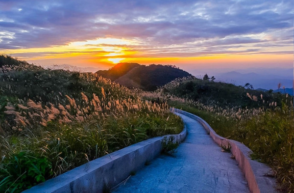 Tour Binh Lieu 2N1Đ: Checkin the paradise of reeds