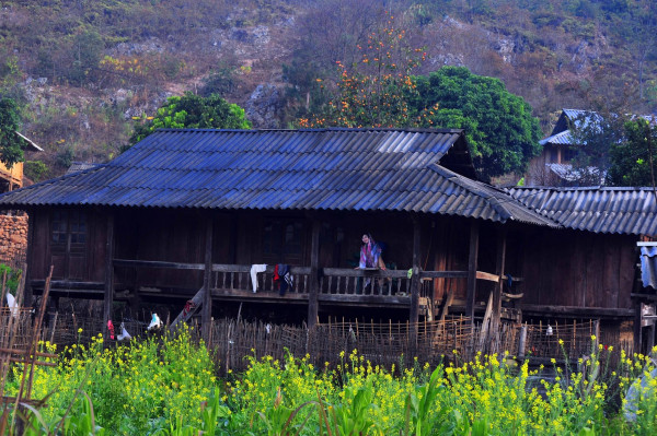 Tour Mu Cang Chai - Ban Surf - Ngoc Chien in ripe rice season.